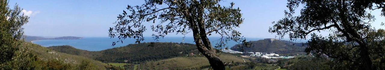 Borgo Degli Ulivi *