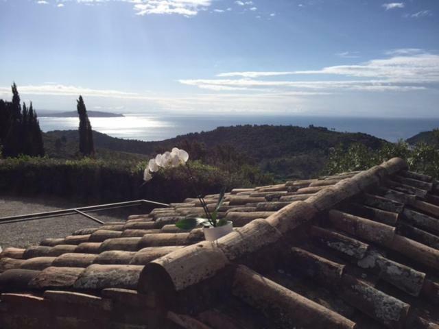 Borgo Degli Ulivi Holiday home *